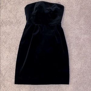 JCrew Velvet mini dress